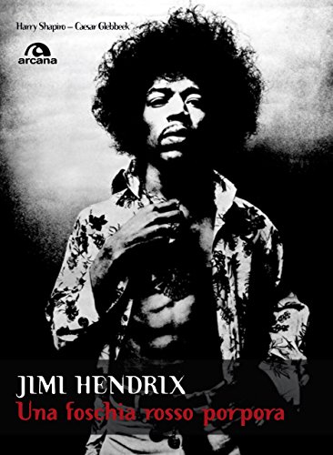Jimi Hendrix: Una foschia rosso porpora libro