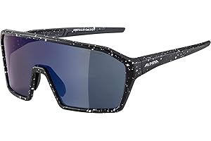 ALPINA Unisexe - Adultes, RAM Q-Lite Lunettes de Sport