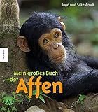 Cover zum Buch Mein großes Buch der Affen
