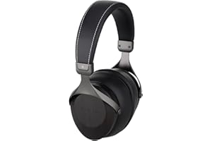 SIVGA SV021 Classic Wooden Closed Back Wired Hi-Fi Over-Ear Headphone (Zebrano)