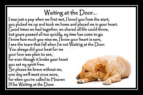 Golden-Labrador-Pet-Dog-Bereavement-Memorial-Print-unframed-Waiting-at-the-Door
