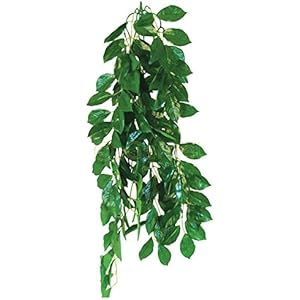 Terrarium Kunstpflanze Ficus 70 cm