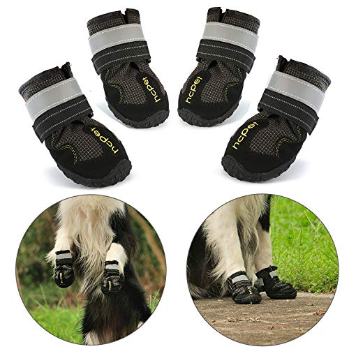 ᐅ Les meilleures bottes pour chien en 2019 ! Mon ami le Chien ᐅ Les meilleures bottes pour chien en 2019 ! Mon ami le Chien