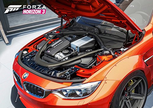 Preisvergleich Produktbild Forza Horizon 3 Poster