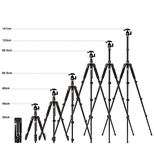 XCSOURCE Q555 Tr pied Monopode T te Sph rique Photographie et Rotule Professional Portable Aluminium en Alliage Magn sium pour DSLR cam ra DV Canon Nikon Pentax Sony Tr pied Hauteur Max 55 9 la charge max 8KG LF393 reviews XCSOURCE Q555 Tr pied Monopode T te Sph rique Photographie et Rotule Professional Portable Aluminium en Alliage Magn sium pour DSLR cam ra DV Canon Nikon Pentax Sony Tr pied Hauteur Max 55 9 la charge max 8KG LF393