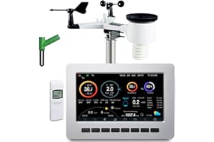 Froggit HP1000SE PRO Wi-Fi Internet - Estación meteorológica inalámbrica - Servidor meteorológico + sensor de humedad del suelo DP100