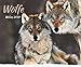 Wölfe 208919 2019: Großer Wandkalender. Foto-Kunstkalender über den Wolf. Querformat 55 x 45,5 cm. Hochwertiges Foliendeckblatt. by 