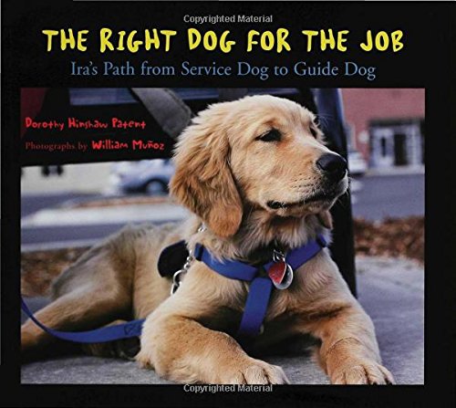 The Right Dog for the Job: Ira's Path from Service Dog to Guide Dog
