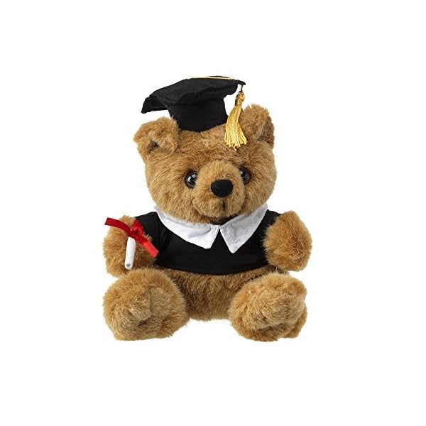 oso de peluche graduacion