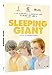 Sleeping Giant