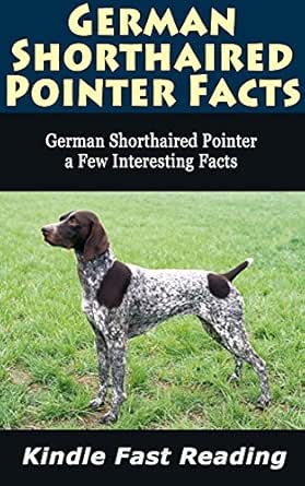 german shorthair puppy craigslist