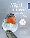 Vögel füttern, aber richtig: Das ganze Jahr füttern, schützen und sicher bestimmen