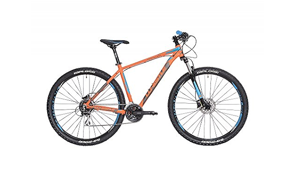 Mountain Bike 29 \