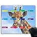 Price comparison product image 2019 calendar giraffe background mouse pad