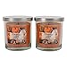 Produktbild DII z02108 1 Docht gleichmäßig Burnin 2 Pack of Single Wick Candles Pumpkin Caramel