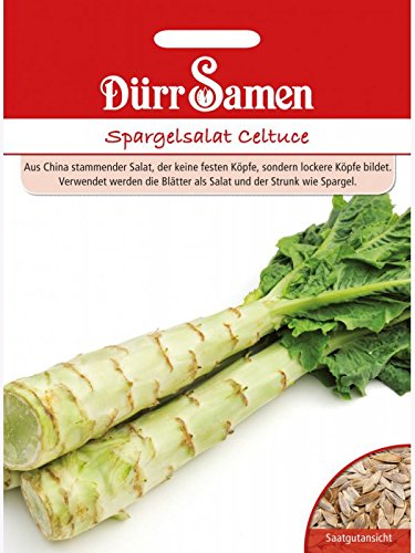 Spargelsalat, Celtuce, Lactuca sativa var. angustana, ca. 100 Samen