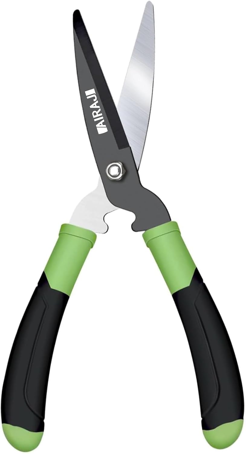 Vue 9