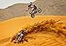 Produktbild MOTORCROSS (11) – Amazing Motorcross Poster – Posh – Schnell Motorcross – Classics Motoren – Echt Foto – Beste Qualität – Poster, NEU – Beste Bild – Best Preis – Größe A4