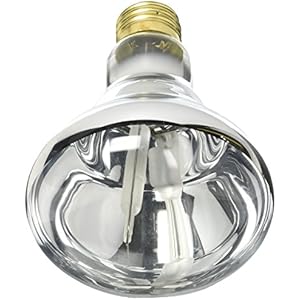 Zoo Med HB-150E Repti Halogen Spotstrahler, 150 Watt, für Terrarien