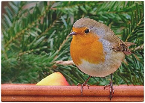 Robin Christmas Tempered Glass Chopping Board (Small)