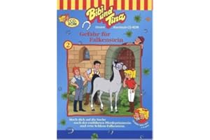 SCHMIDT SPIELE GMBH Gefahr für Falkenstein