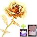 Produktbild Beauty360 24K Goldene Rosen-Blumen-Geburtstags-Geschenk-Dekoration Frauen-Tagesgeschenk 5 Farbe für Wahlen verblassen nie [Länge 26cm] [Knospen-Durchmesser 8cm] (golden)