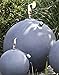 Produktbild Öllampe Globe Magnesia, grau gewischt D. 40 cm