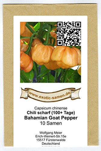 Bahamian Goat Pepper – extrem scharf – Chili – Peperoni – 10 Samen - 2