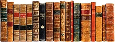 Plage 143508 Livres Anciens Sticker pour tête de lit 59 cm x 160 cm