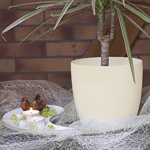 Terra 1401384100 Coubi Kunststoff Übertopf 15 cm, beige - 5