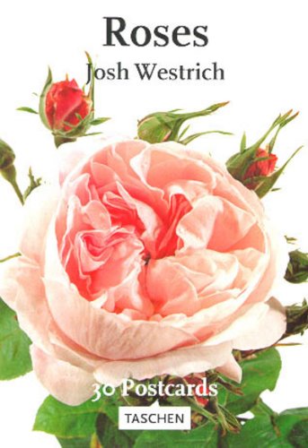 Download PostcardBook, Roses (PostcardBooks) Download PostcardBook, Roses (PostcardBooks)