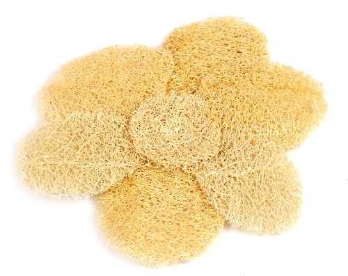 Loofah Savannah Dahlia Exfoliating Pad