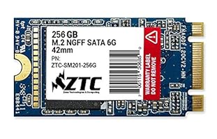 ZTC Rüstung 42mm m2 NGFF 6G SSD Solid State Disk-ZTC-SM201 (256GB)