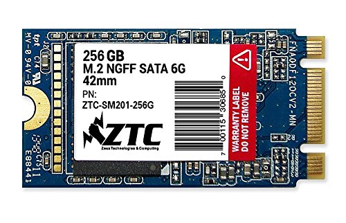 ZTC Rüstung 42mm m2 NGFF 6G SSD Solid State Disk-ZTC-SM201 (256GB)