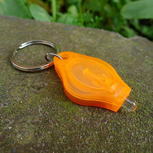IPUIS 5 Stück Mini LED Taschenlampen Schlüsselanhänger Beleuchtung weiße Licht mit Schlüsselring kleine Taschenlampe für Outdoor-Aktivitäten,Camping, Abenteuer,Haus Partys oder besondere Anlässe(Farbe zufällige Lieferung) - 9