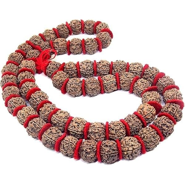 NKlaus 5 Face Real Rudraksha Japa Mala Catena 54+1 Perle Per Meditazione Spirituale - Lunghezza 100 Cm - 4
