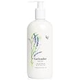 Crabtree & Evelyn Lavender Body Lotion 500ml