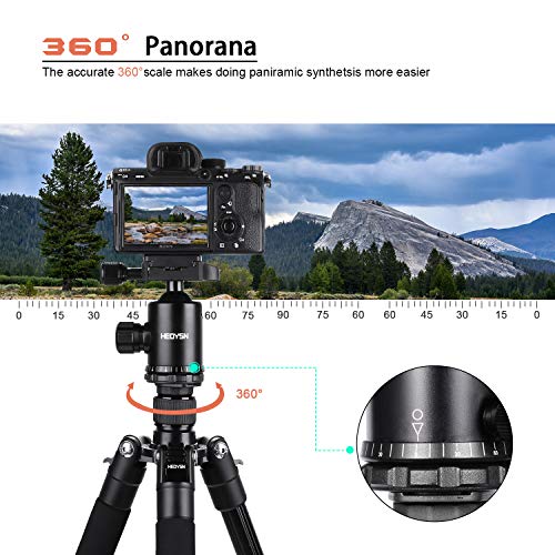 HEOYSN Trípode Cámara Réflex, Trípode Profesional 160cm de Aluminio con Rótula de Bola Placa Rápida Liberación Trípode Compacto, Peso 1.35kg, MAX: 8kg, Compacto para Canon Nikon Olympus Pentax DSLR