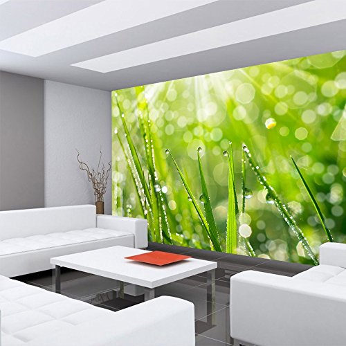 Vlies Fototapete PREMIUM PLUS Wand Foto Tapete Wand Bild Vliestapete – Blumen Blüte Natur – no. 199 Natur Gras Wiese Halm Sonne, Größe:350x245cm Vlies - 6