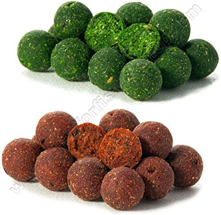 Carp Boilies 20mm Juicy Mulberry Chunky Shellfish Hook Hair Rigs Bait Fishing Session Pack (Va06- 2x100g 20mm Mulberry+Shellfi Boilies Profess)