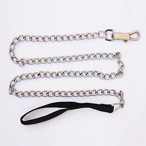 Metal-Dog-Chain-With-Black-Fabric-Handle-Enables-You-To-Complete-Control-on-Your-Pet