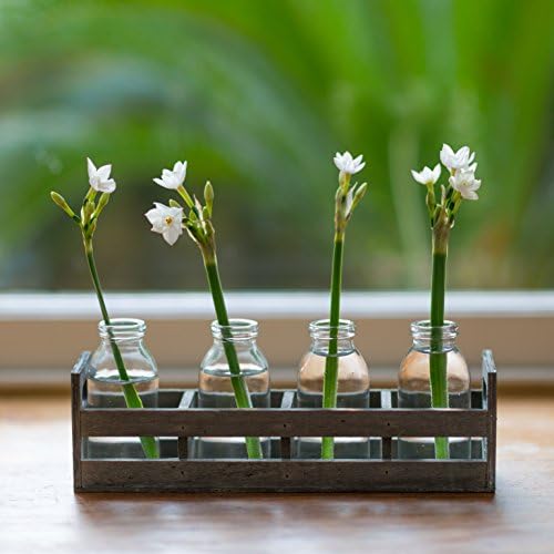 SET OF 4 MINI BOTTLES IN A NATURAL WOODEN TRAY - Vases For Home Interior &amp; Weddings