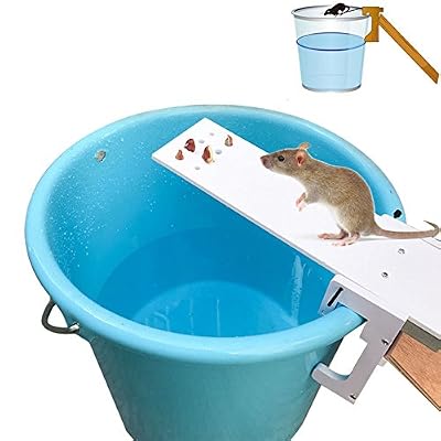 klinkamz Pest Controller Piège à Rat Rapide Kill balançoire Mouse Catcher Appât pour Jardin Maison