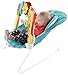 Fisher-Price 2-in-1 Sensory Stages Bouncer