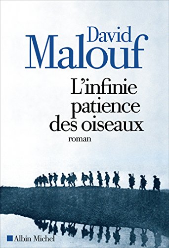 couverture de : L'infinie patience des oiseaux