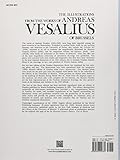Image de The Illustrations from the Works of Andreas Vesalius of Brussels; With Annotations and Translations, a Discussion of the Plates and Their Background,