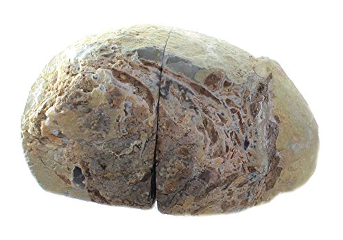 budawi® – Achat Buchstützen Paar poliert, Edelstein – Dekostein Achat - 3