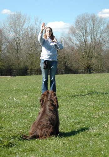 CLIX-Professional-Whistle