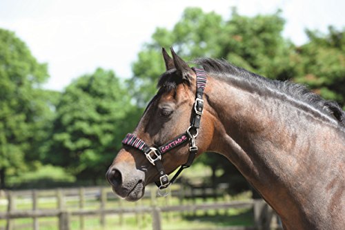 Cottage-Craft-Candy-Stripe-Head-Collar