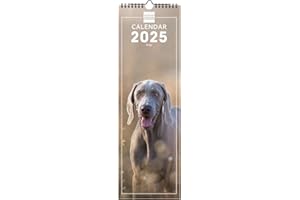 Finocam - Calendario Imágenes de Pared 15x48 Internacional 2025 Mes Vista Enero 2025 - Diciembre 2025 (12 meses) Dogs Internacional